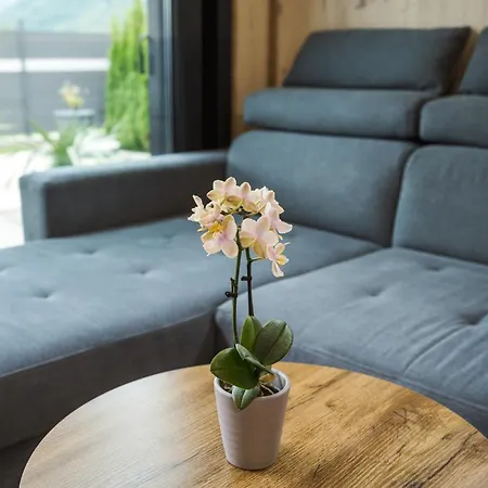 Vakantiehuis Smi's Tiny House In Am Traunsee